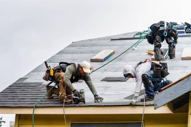 Professional Roofing technician working in Bud, WV